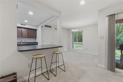 1105 Canyon View Road Northfield OH 44067