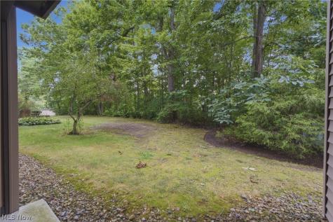 1105 Canyon View Road Northfield OH 44067