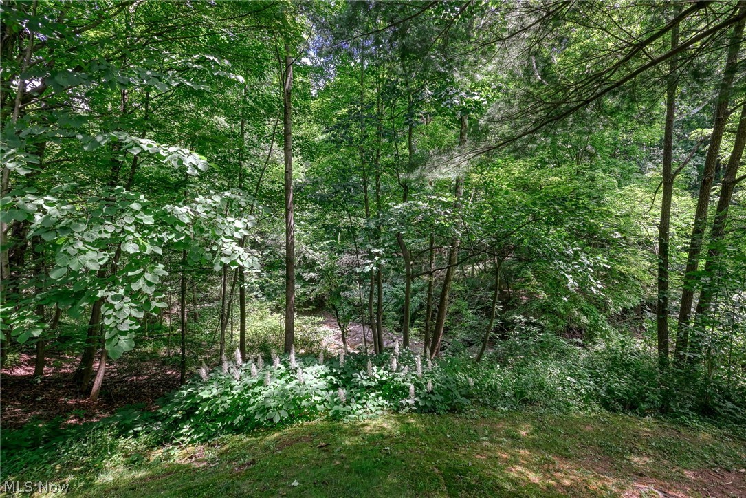 654 Meredith Lane Cuyahoga Falls OH 44223