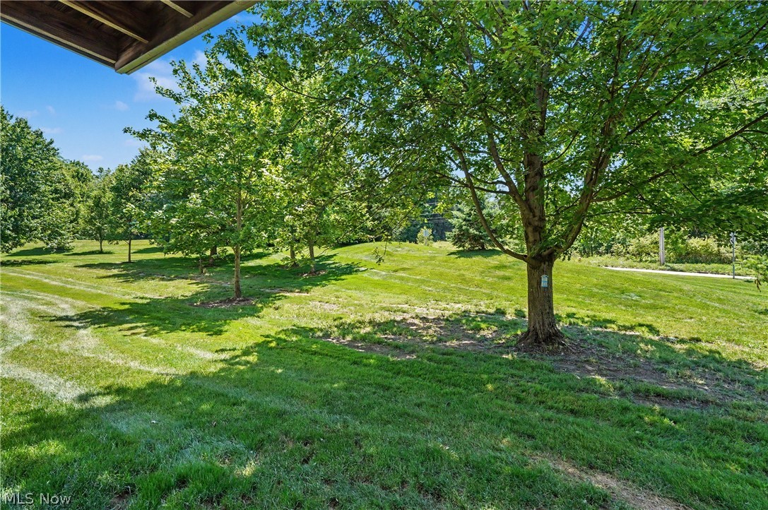 3800 Rosemont Boulevard Akron OH 44333