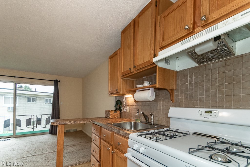 1372 Golden Gate Boulevard Mayfield Heights OH 44124