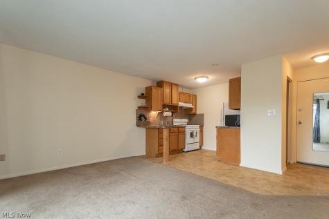 1372 Golden Gate Boulevard Mayfield Heights OH 44124
