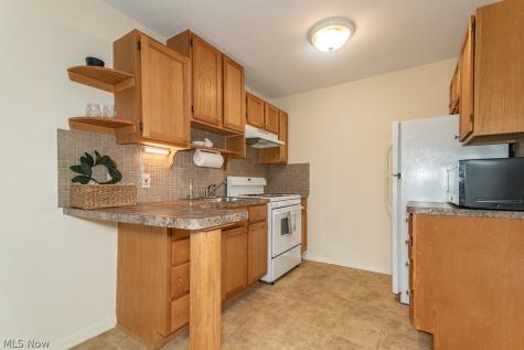 1372 Golden Gate Boulevard Mayfield Heights OH 44124