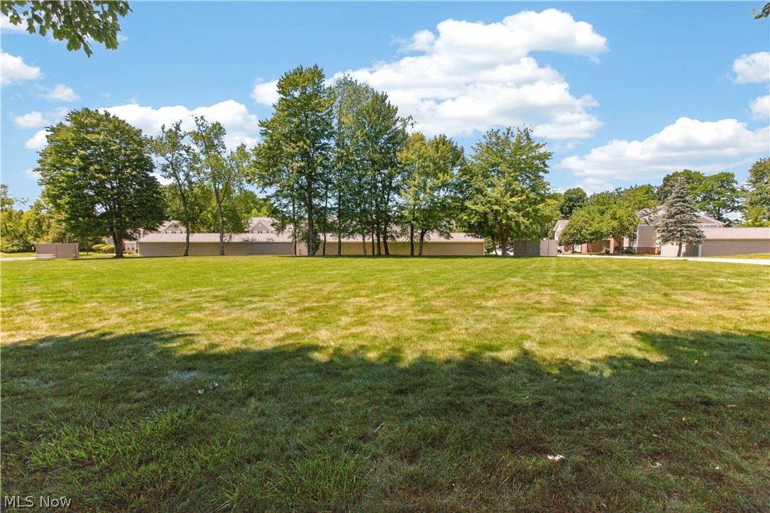 3324 Lenox Village Drive Fairlawn OH 44333
