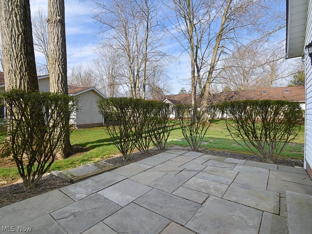 6146 Tiffin Court Mentor OH 44060