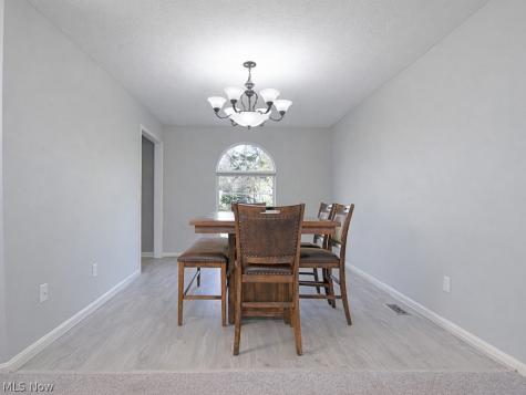 6146 Tiffin Court Mentor OH 44060