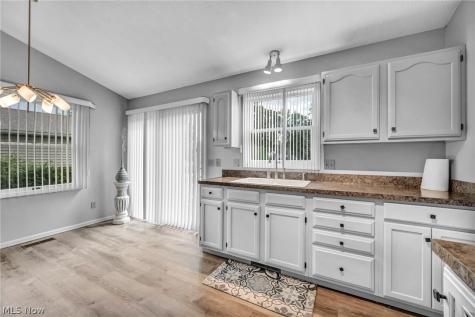 37057 N Doovy Street Avon OH 44011