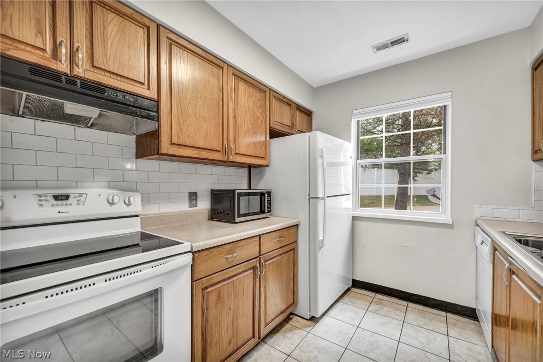 85 Firebush Lane Northfield OH 44067