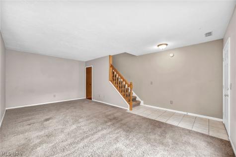 85 Firebush Lane Northfield OH 44067