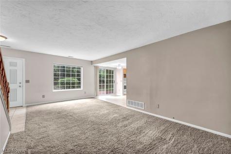 85 Firebush Lane Northfield OH 44067