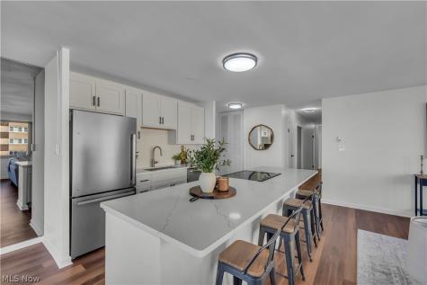 12520 Edgewater Drive Lakewood OH 44107