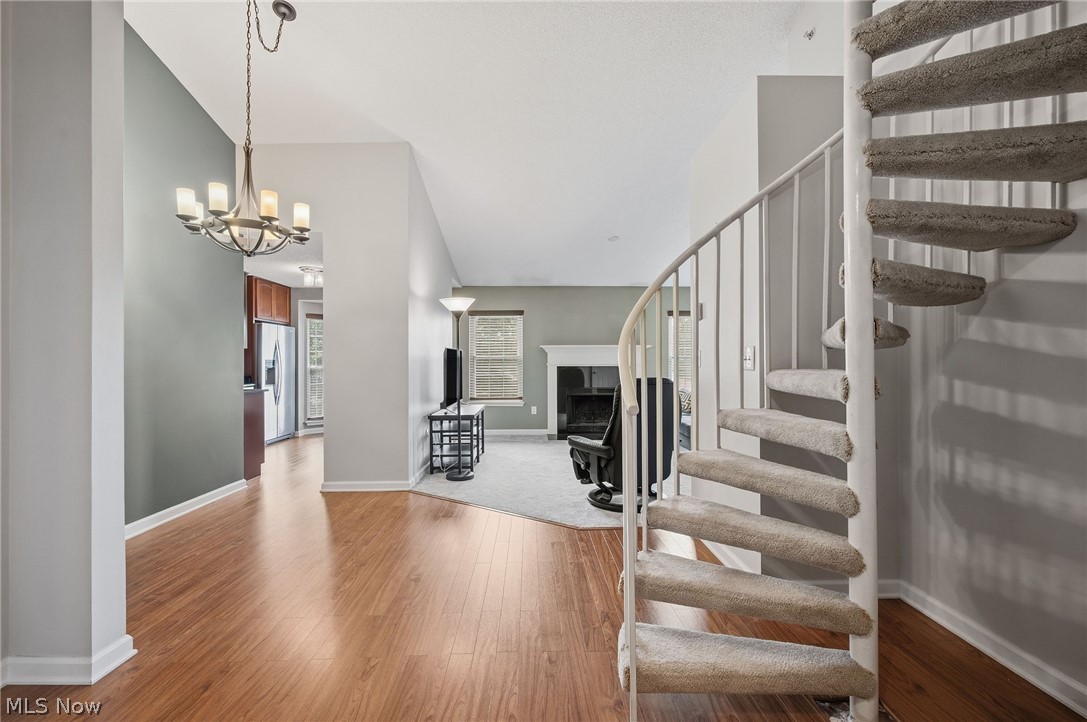 240 Fox Hollow Drive Mayfield Heights OH 44124
