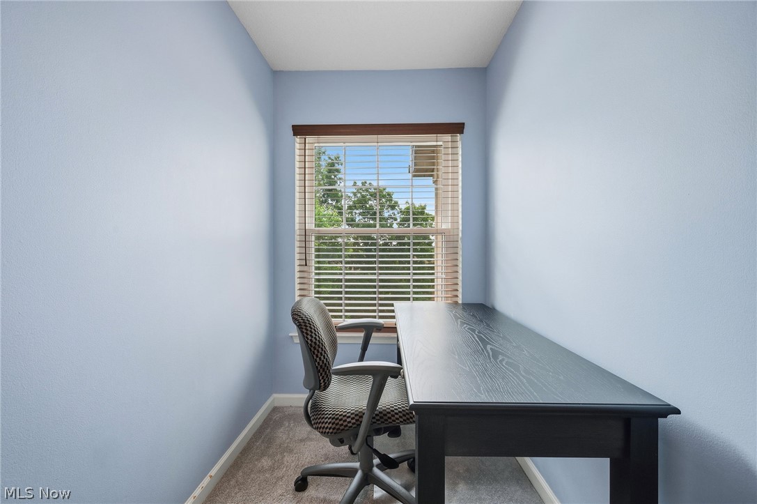 240 Fox Hollow Drive Mayfield Heights OH 44124