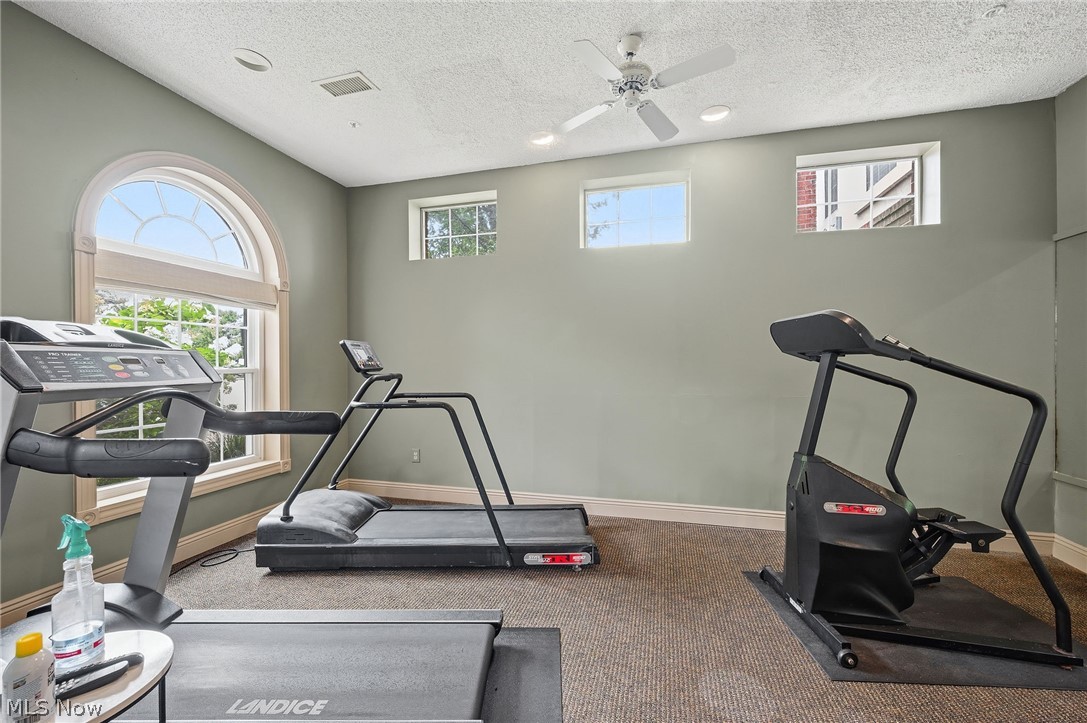 240 Fox Hollow Drive Mayfield Heights OH 44124