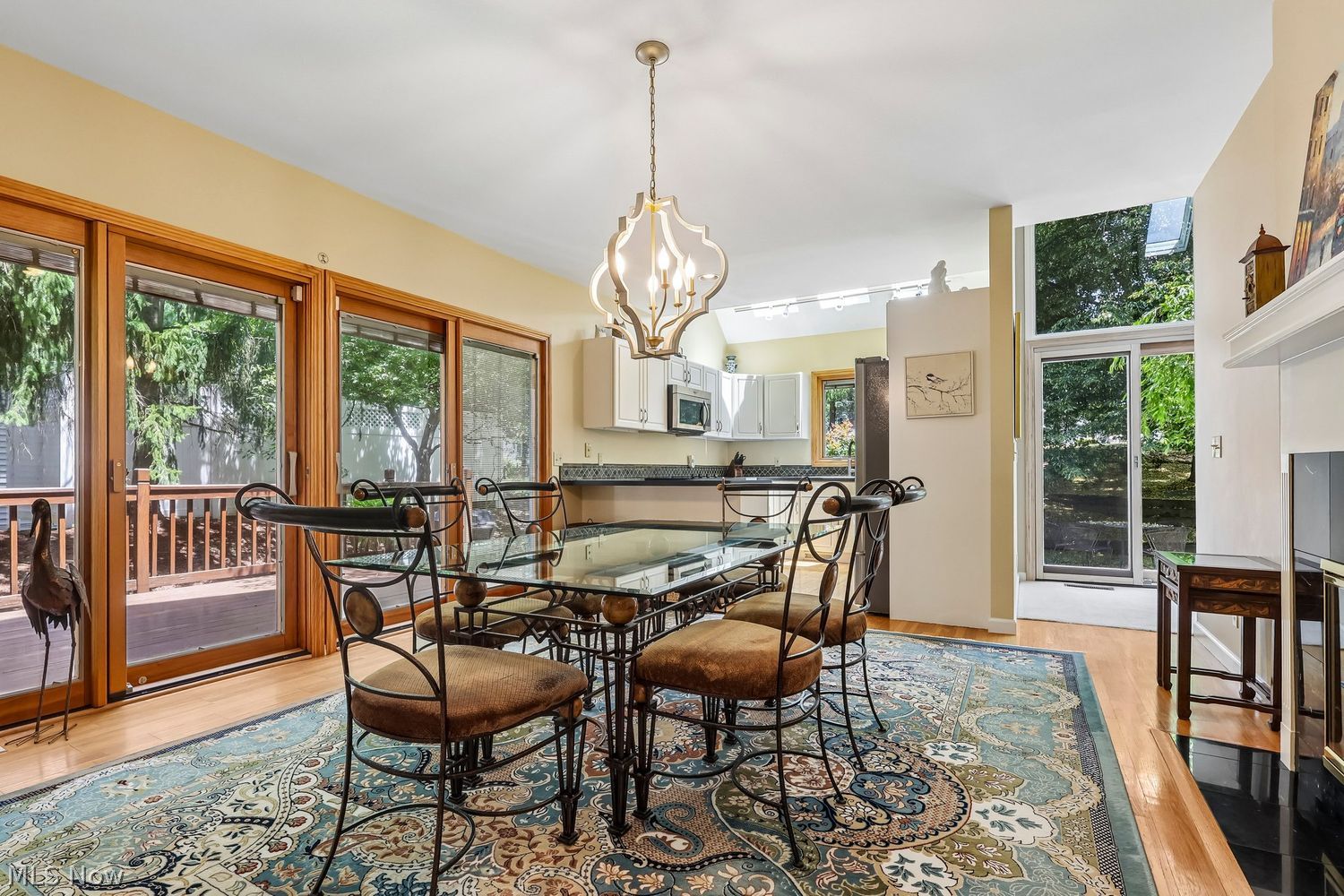995 Goldenrod Trail Aurora OH 44202