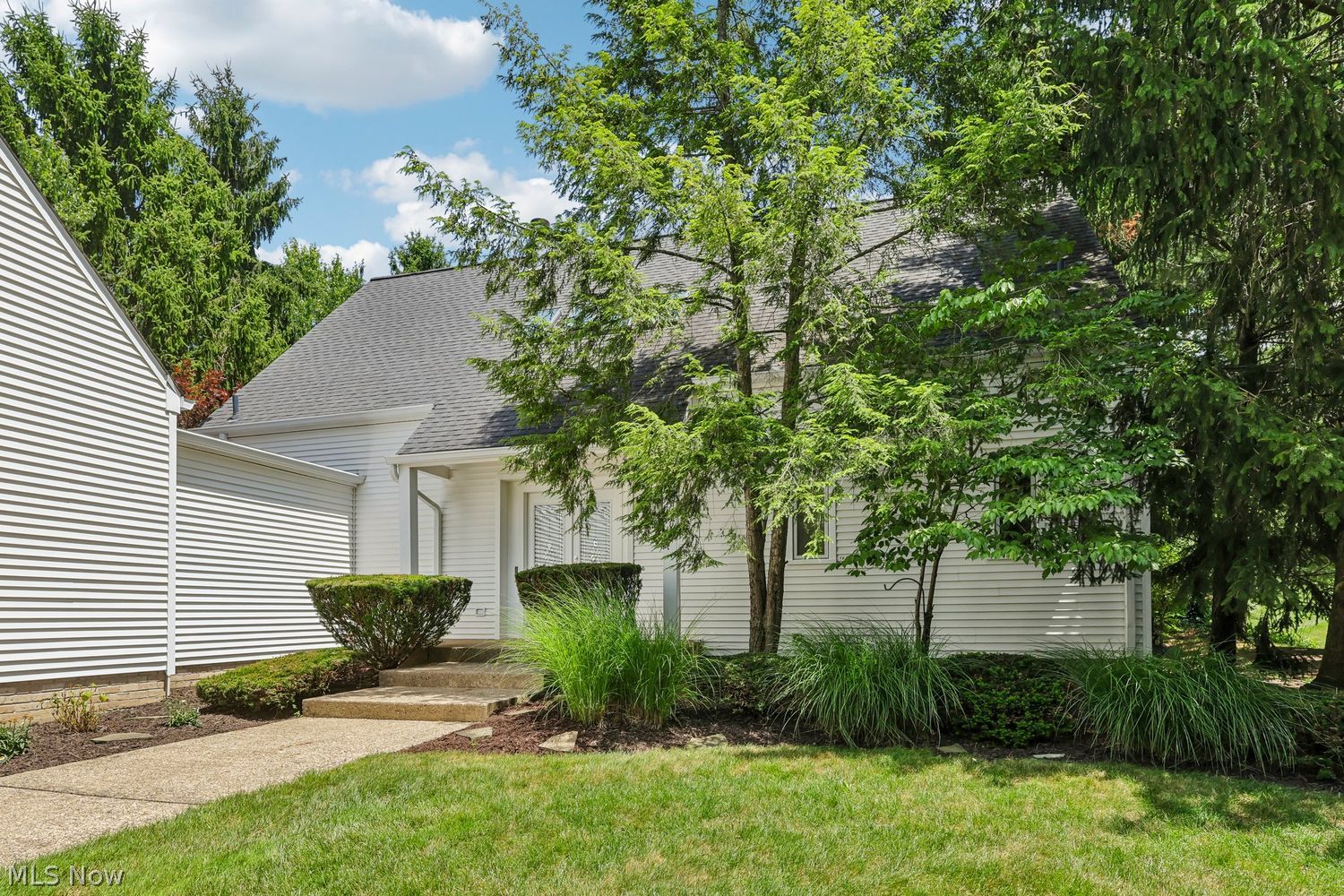995 Goldenrod Trail Aurora OH 44202