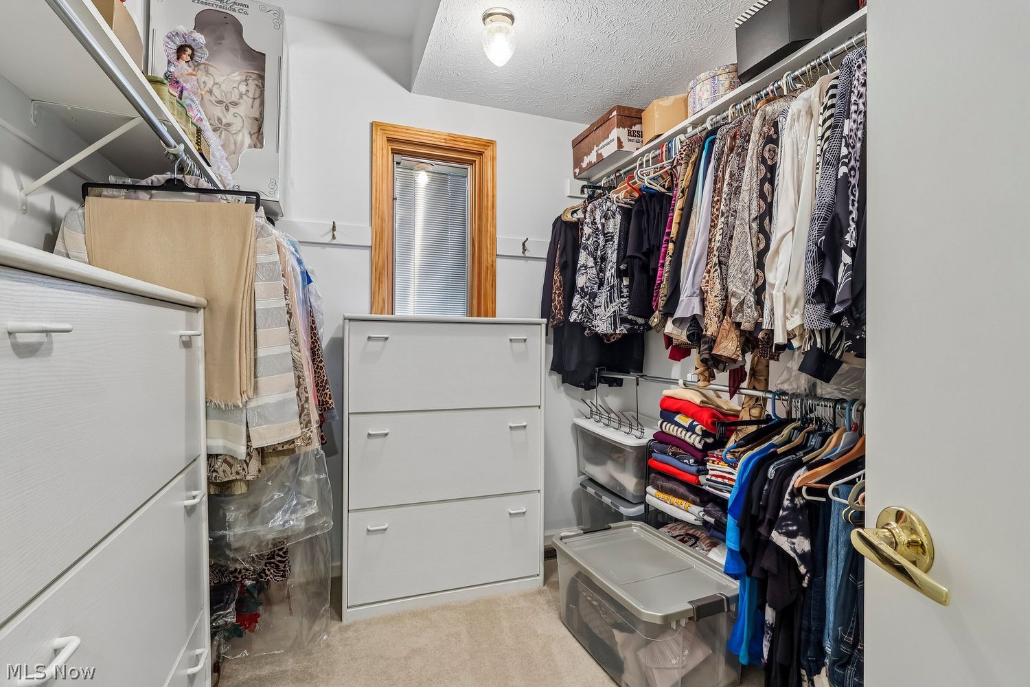 995 Goldenrod Trail Aurora OH 44202