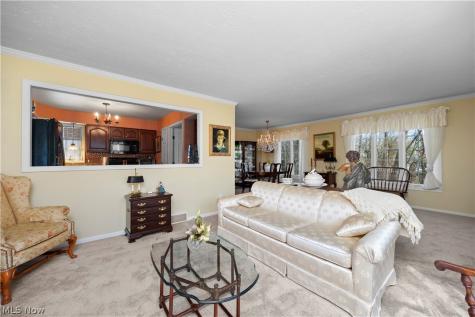 4190 E Normandy Park Drive Medina OH 44256