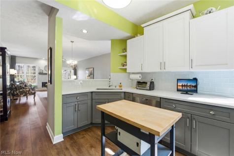 469 Eagle Trace Mayfield Heights OH 44124