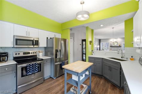 469 Eagle Trace Mayfield Heights OH 44124