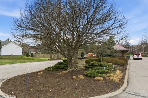 469 Eagle Trace Mayfield Heights OH 44124