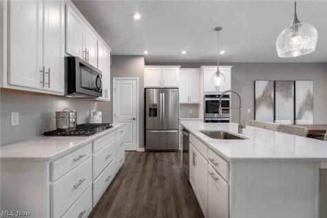 27845 Birchwood Court Westlake OH 44145
