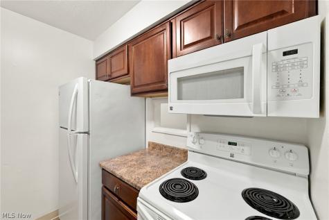 23831 David Drive North Olmsted OH 44070