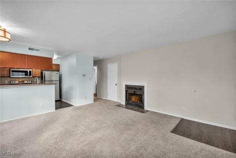 1804 Stoney Run Circle Broadview Heights OH 44147