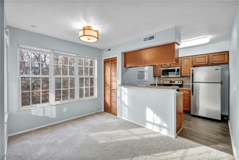 1804 Stoney Run Circle Broadview Heights OH 44147