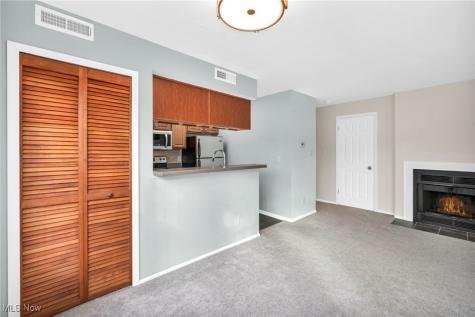 1804 Stoney Run Circle Broadview Heights OH 44147