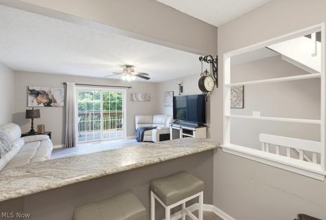 646 Almas Court Brunswick OH 44212