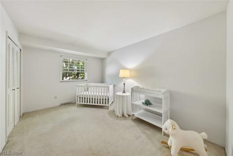 2876 Pease Drive Rocky River OH 44116