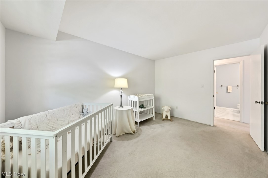 2876 Pease Drive Rocky River OH 44116
