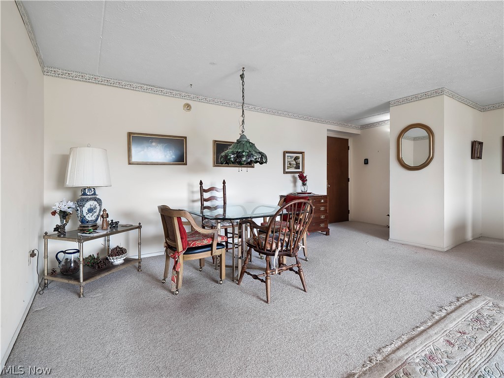 50 S Rocky River Drive Berea OH 44017
