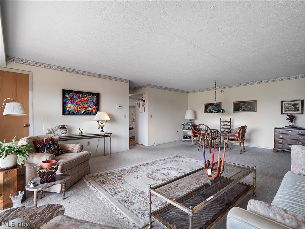 50 S Rocky River Drive Berea OH 44017