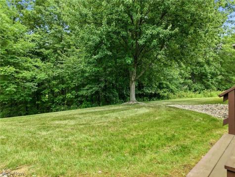 1453 Tripodi Circle Niles OH 44446
