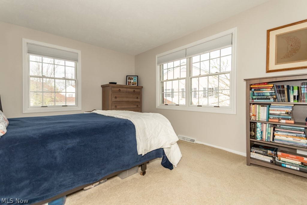 6101 Cabot Court Mentor OH 44060