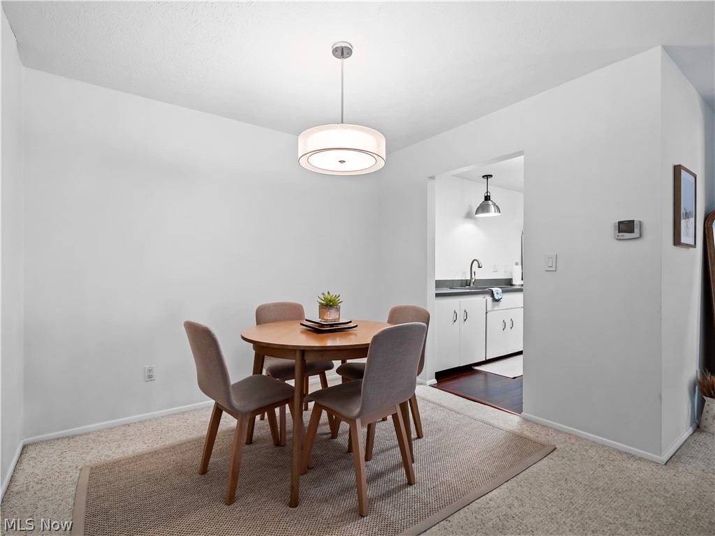 4809 Scotch Pine Way North Ridgeville OH 44039