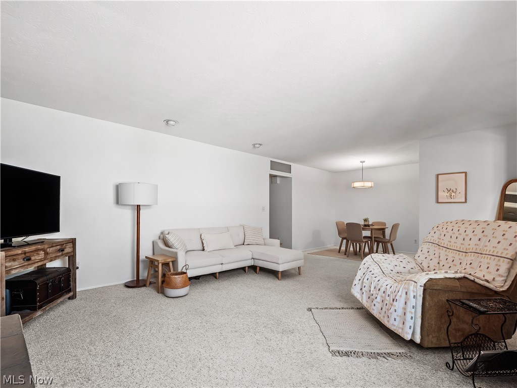 4809 Scotch Pine Way North Ridgeville OH 44039