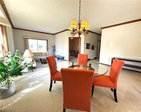 135 Village Drive Seven Hills OH 44131