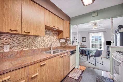 97 Firebush Lane Northfield OH 44067