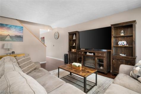 1254 Village Tallmadge OH 44278