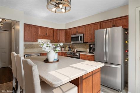 1254 Village Tallmadge OH 44278