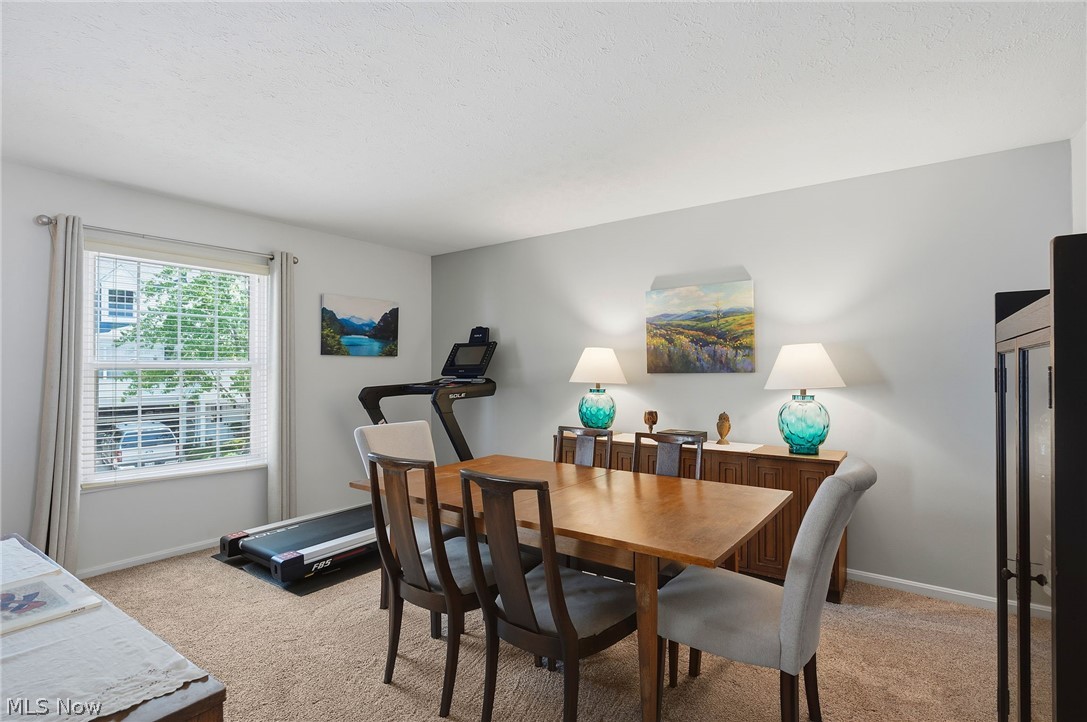 25 Commons Court Chagrin Falls OH 44022