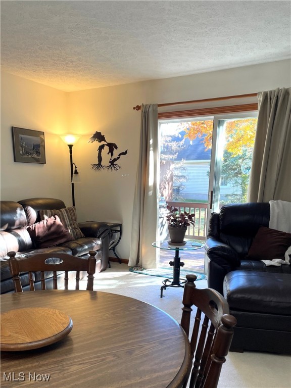 1129 Windmill Way N Avon OH 44011