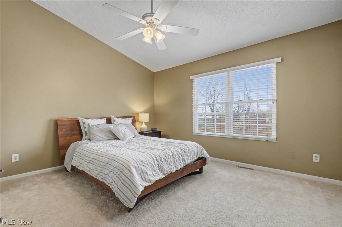 1429 Colony Drive Streetsboro OH 44241