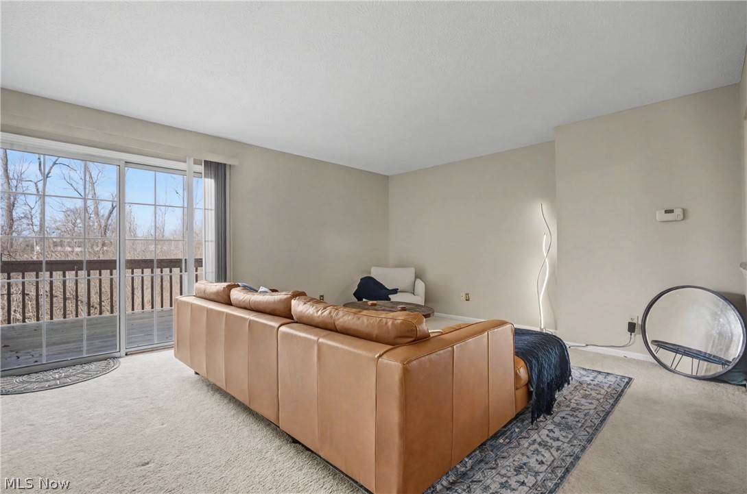 1429 Colony Drive Streetsboro OH 44241