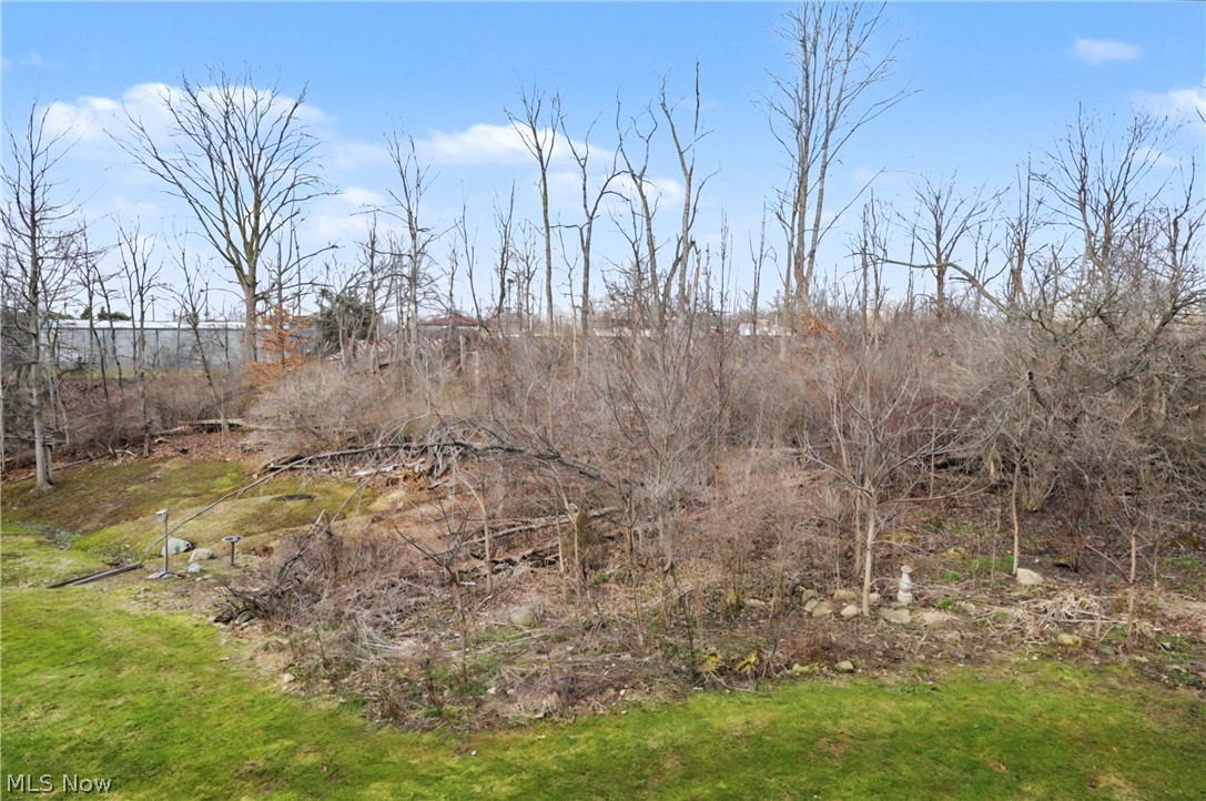 1429 Colony Drive Streetsboro OH 44241