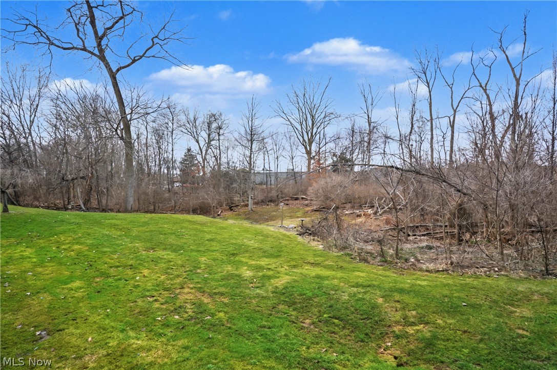 1429 Colony Drive Streetsboro OH 44241