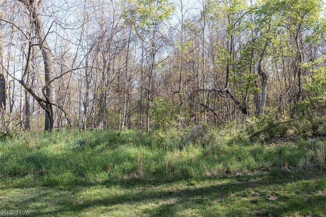 13662 Oakbrook Drive North Royalton OH 44133